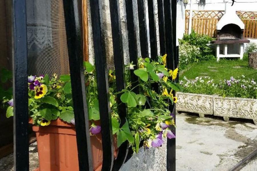 Casa Rural Zubiarena Satrustegui Dış mekan fotoğraf